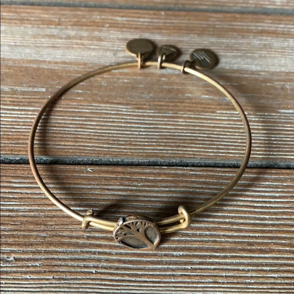 Alex and Ani Unexpected Miracles Bracelet. - Picture 3 of 5